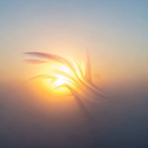Morning Sun Abstract Art | Tranquil Dawn Light Design