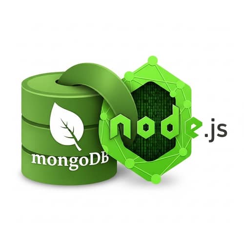 MongoDB and Node.js Integration for Seamless Interoperability