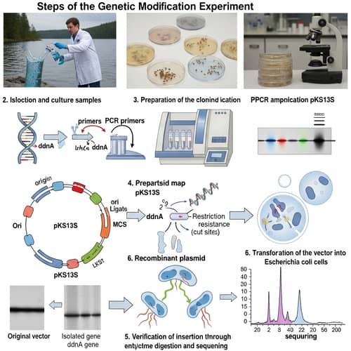 Genetic Modification Experiment: Detailed Process Steps