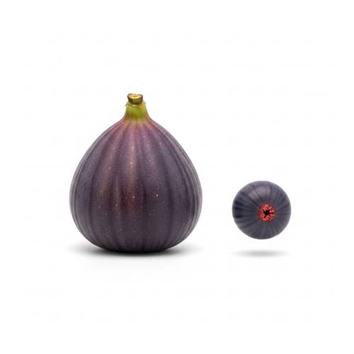 Fig Fruit Ellipsis Symbol: Uses and Meanings