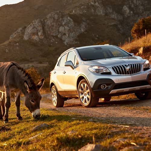 2013 Buick Encore with Tumba Burro for Sale 2013 Buick Encore with Tumba Burro for Sale