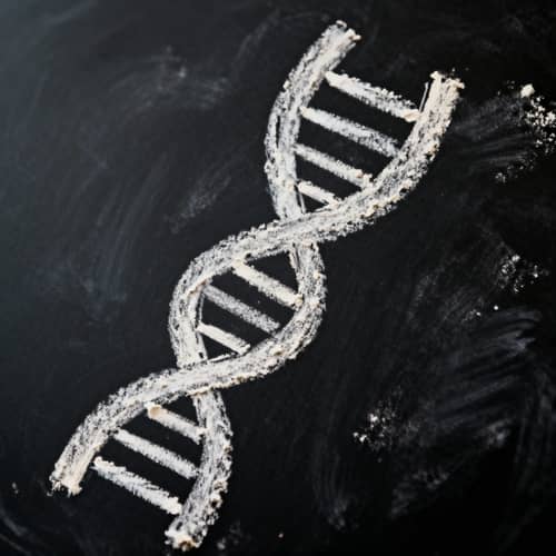 DNA Drawn with Chalk - Unique Art and Science Fusion