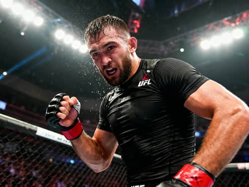 Professional UFC Fighter Photo Professional UFC Fighter Photo