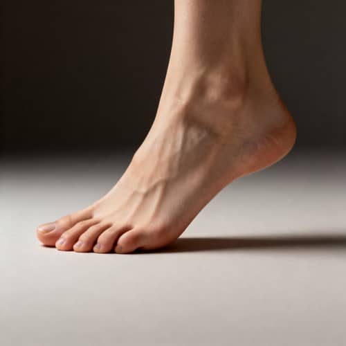 Artistic Foot Photography: Aesthetic and Anatomical Study Artistic Foot Photography: Aesthetic and Anatomical Study