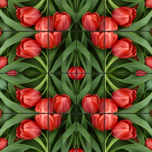 Square Tessellation of Tulips with Leaves
