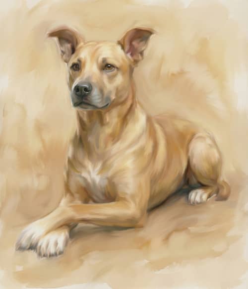 Transform Your Image into a Soft Brush Picture Transform Your Image into a Soft Brush Picture