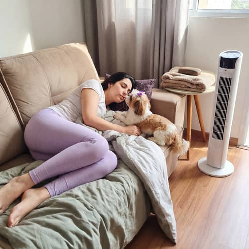 Sleepy Dog Animation: Wake Up the Sleeping Girl