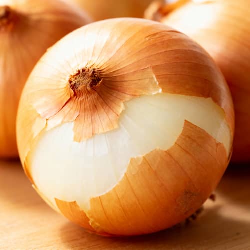 All About Onions: Types, Uses, and Benefits