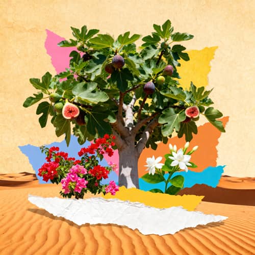 Desert Collage: Fig Tree and Vibrant Flora Desert Collage: Fig Tree and Vibrant Flora