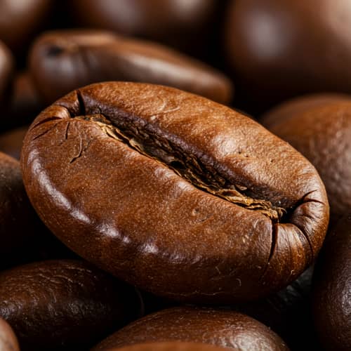 Grano de Café - Coffee Bean Delights