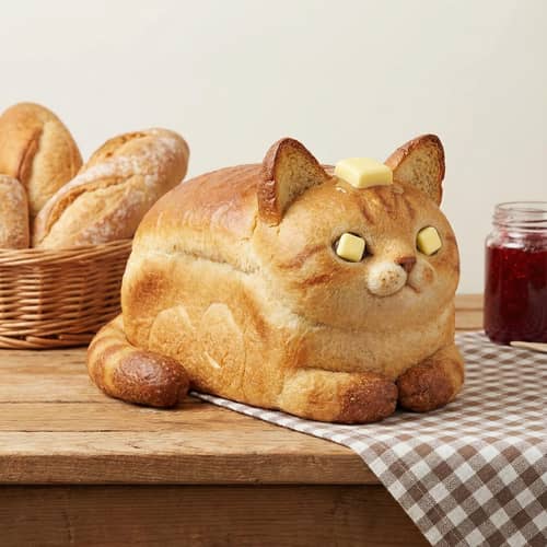 Create Your Own Breadcat Pokémon Create Your Own Breadcat Pokémon