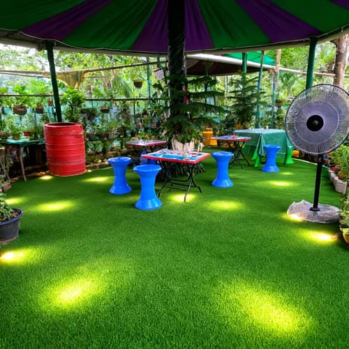 Natural Cafe Design with Artificial Grass Flooring