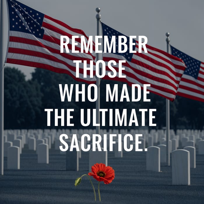 Honoring Sacrifice: American Flags Tribute Honoring Sacrifice: American Flags Tribute