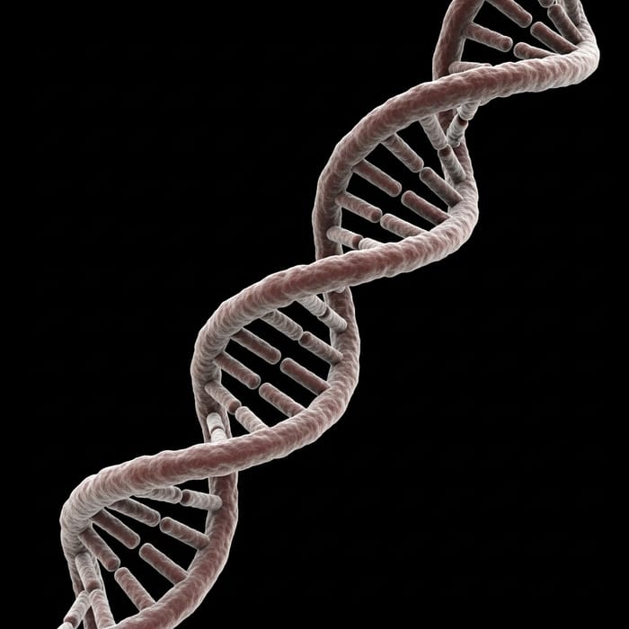 3D DNA: Unveiling the Molecular Structure 3D DNA: Unveiling the Molecular Structure