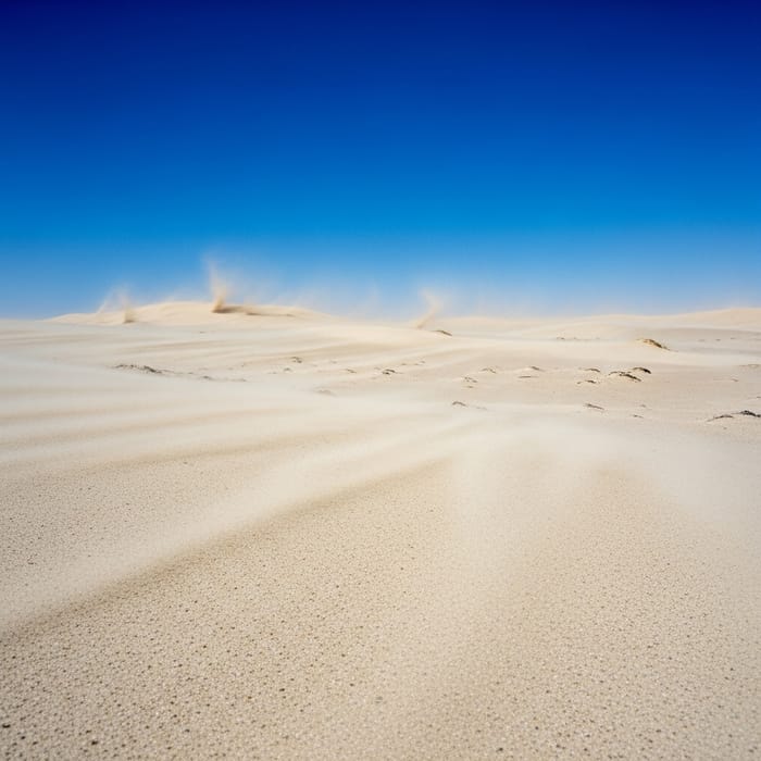 Strong Sandy Wind in the Desert | Raw Beauty of Nature
