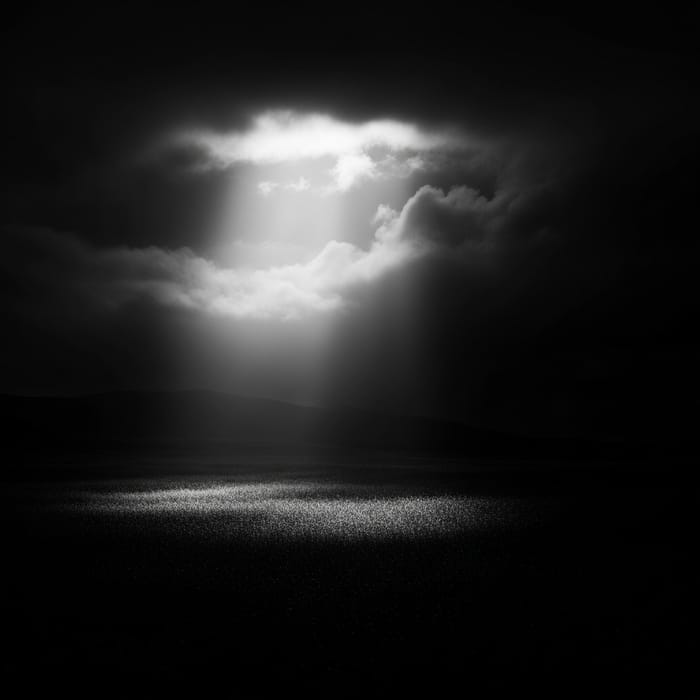 Luces y Sombras: Light and Shadow in Art Luces y Sombras: Light and Shadow in Art