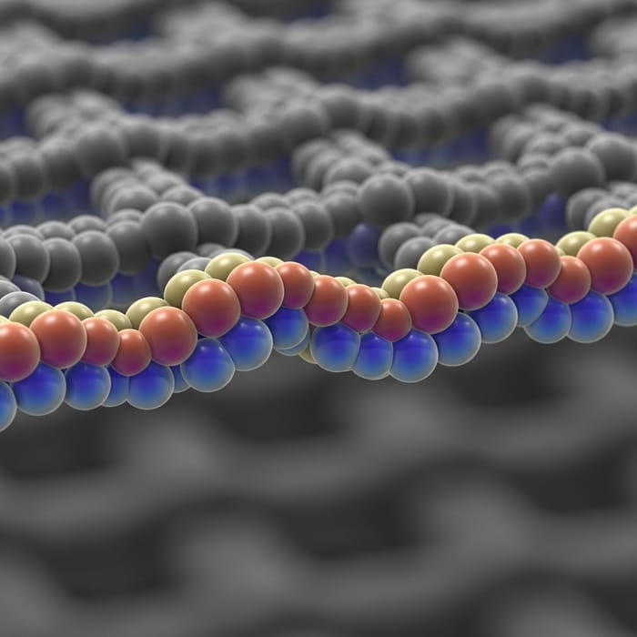 Crystal Lattice Edge Dislocation: Atomic Structure Crystal Lattice Edge Dislocation: Atomic Structure