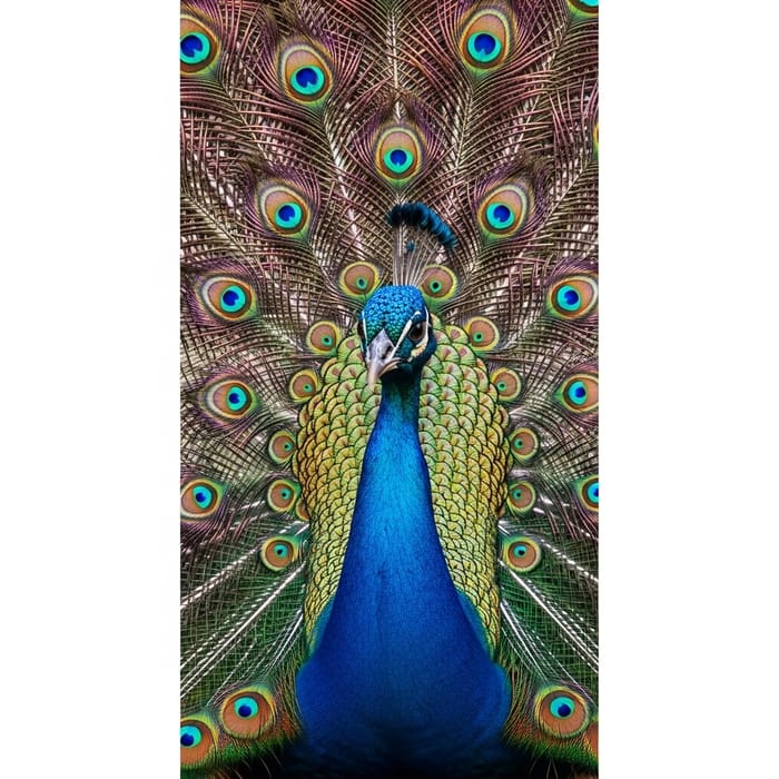 AI Art Creation