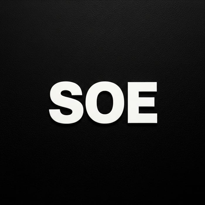 Mysterious 'SOE' on Black Canvas