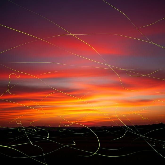 Glowing Fireflies in Slow Motion Against Sunset Backdrop