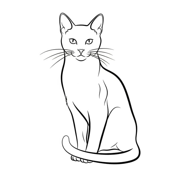 Basic Line Art Cat Illustration | Minimalist Design
