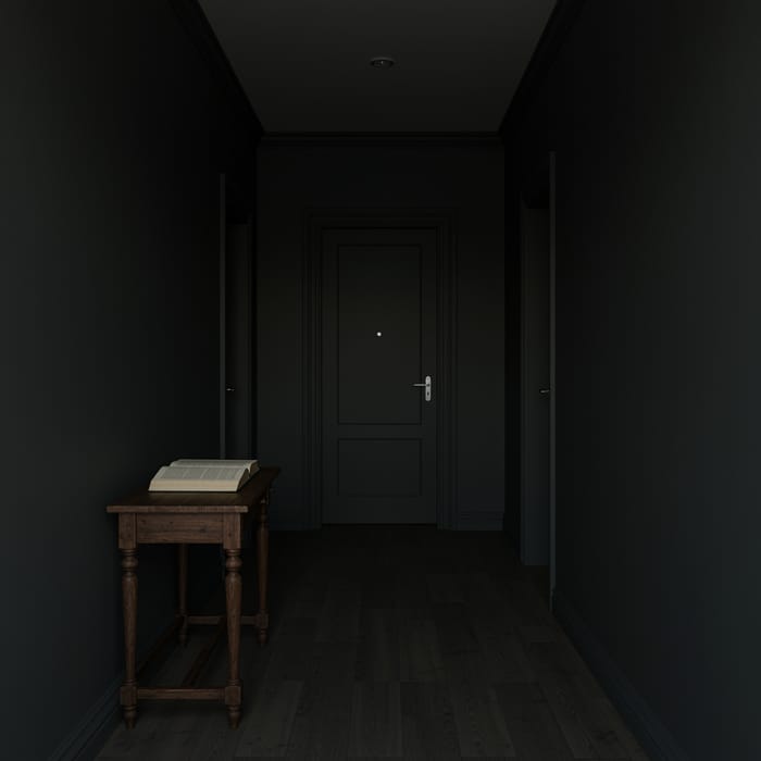 Mysterious Dark Hallway with Unique Features
