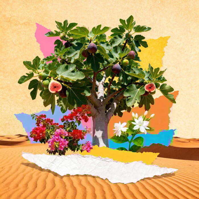 AI Art Creation