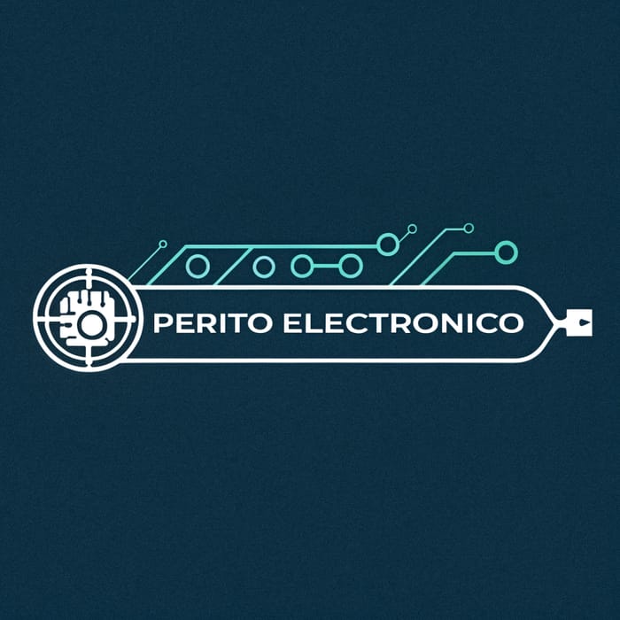 Professional Electronic Expert Logo Design