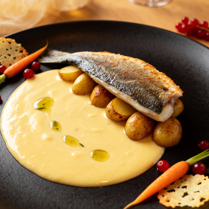 Delicious Sea Bream Filet with Béchamel Sauce Delicious Sea Bream Filet with Béchamel Sauce