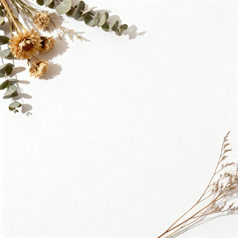 Minimalist Product Photography Background Minimalist Product Photography Background