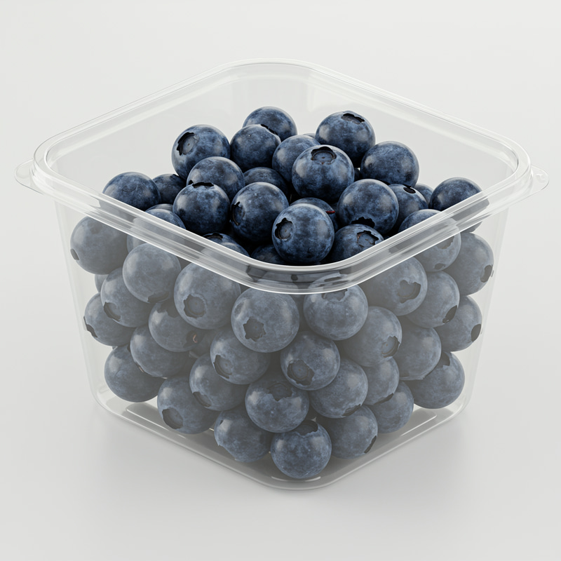 Blueberry Container Similar to Franui Blueberry Container Similar to Franui