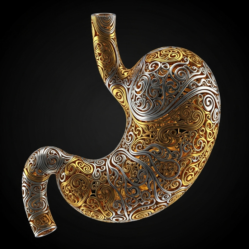 Beautiful Stomach in Gold and Silver on Black Background Beautiful Stomach in Gold and Silver on Black Background