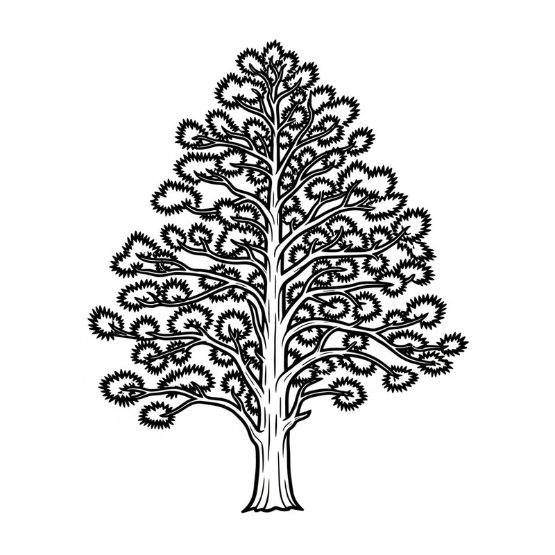 Totara Tree Silhouette on White Background Totara Tree Silhouette on White Background