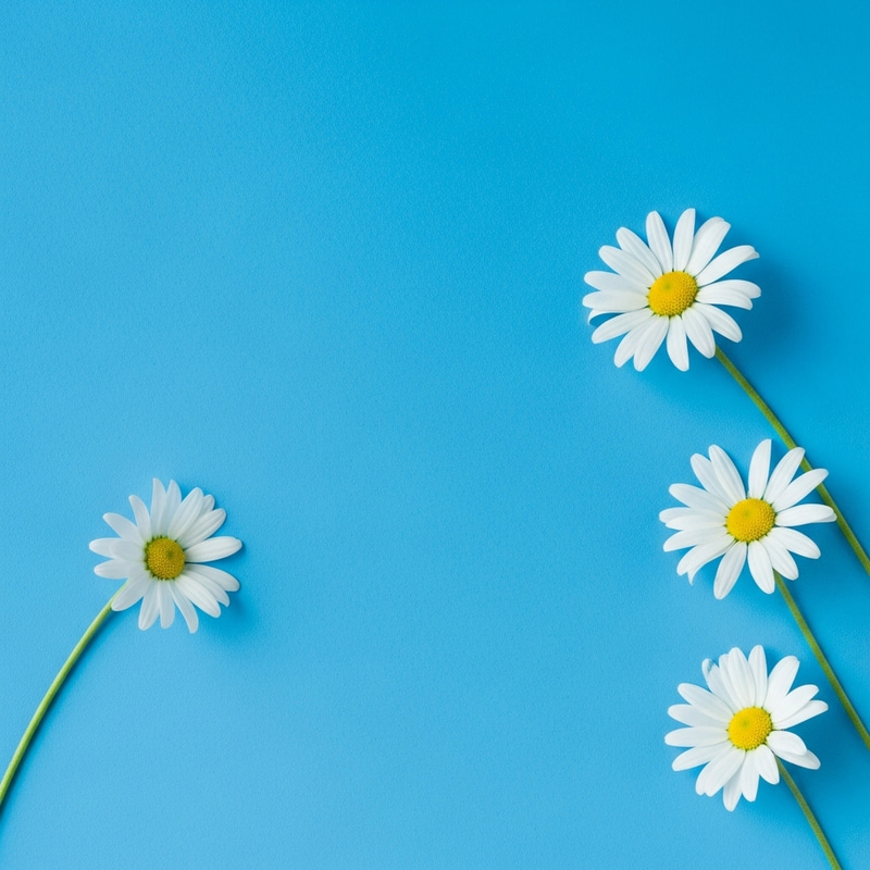 Blue Background Blue Background
