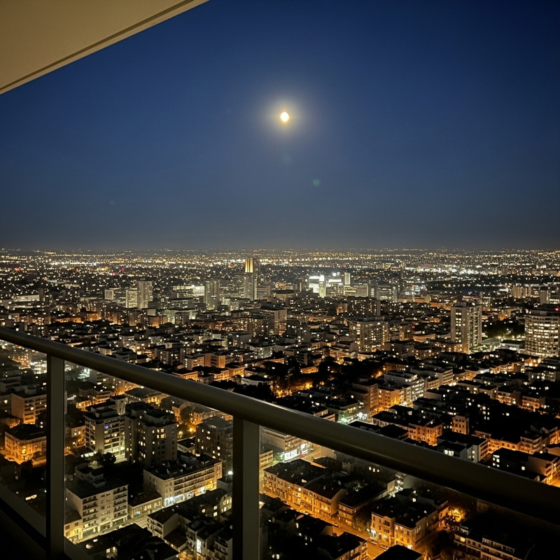 Serenity Overlooking Night City with Full Moon Serenity Overlooking Night City with Full Moon