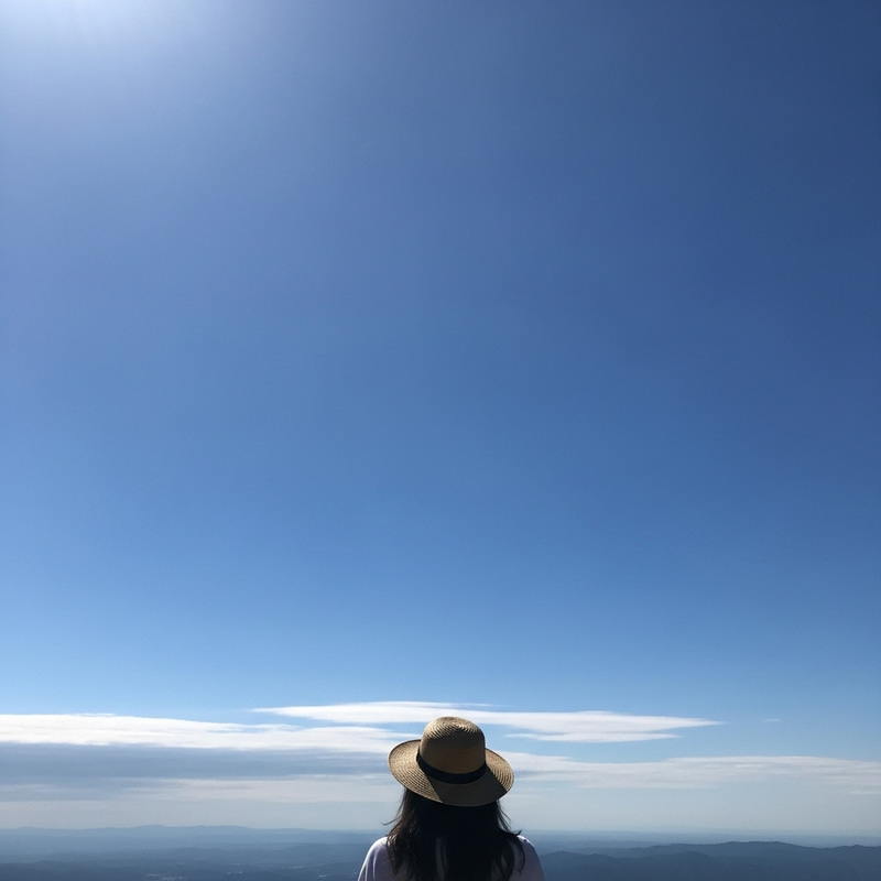 Clear Blue Skies on a Bright Day