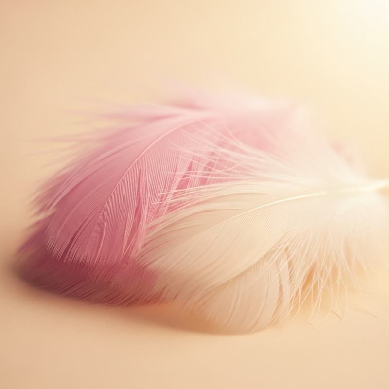 Feathers Back Tenderness | Soft Fluffy Texture Close-up