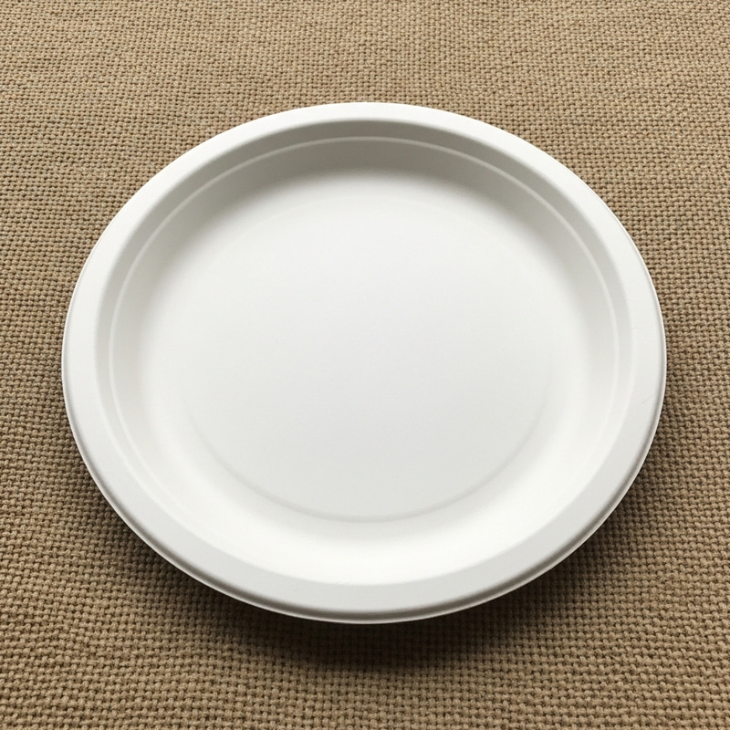White Bagasse Plate - Sustainable & Eco-Friendly White Bagasse Plate - Sustainable & Eco-Friendly