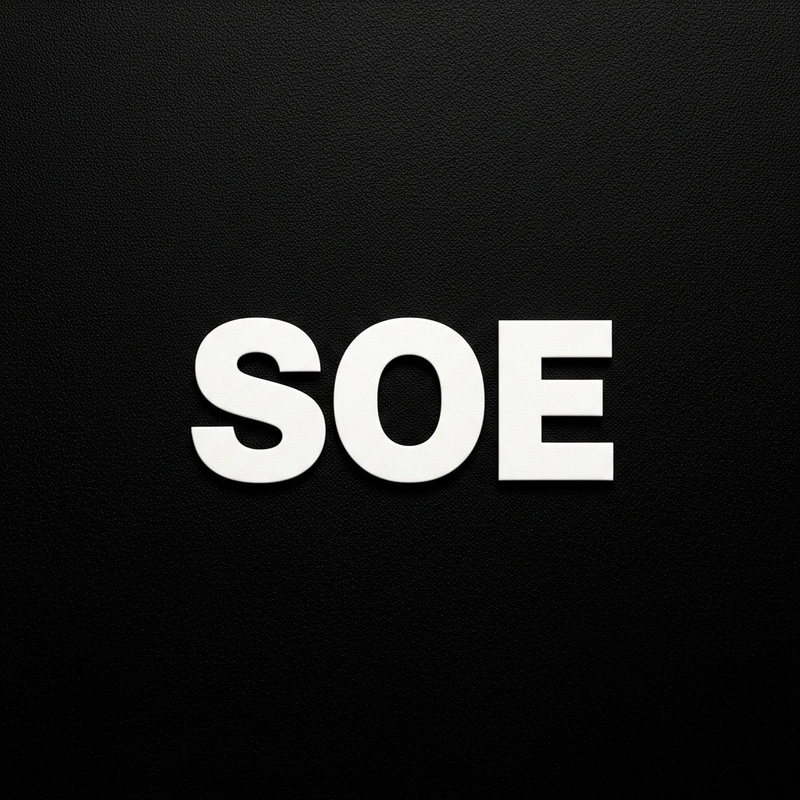 Mysterious 'SOE' on Black Canvas Mysterious 'SOE' on Black Canvas