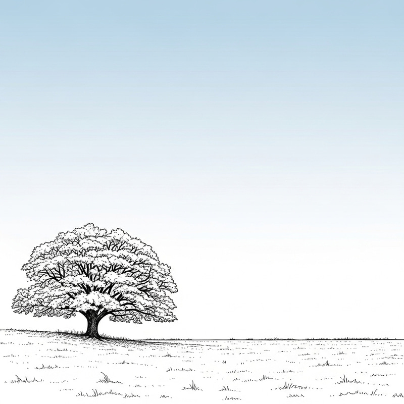 Tranquil Minimalistic Nature Scene Tranquil Minimalistic Nature Scene