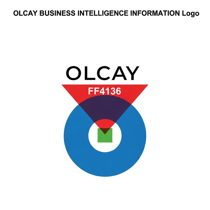 OLCAY BUSINESS INTELLIGENCE INFORMATION Logo Design OLCAY BUSINESS INTELLIGENCE INFORMATION Logo Design