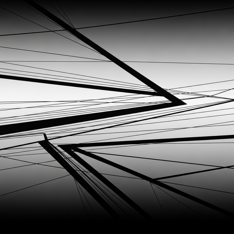 Creating Art with Dynamic Lines and Strong Emphasis Creating Art with Dynamic Lines and Strong Emphasis