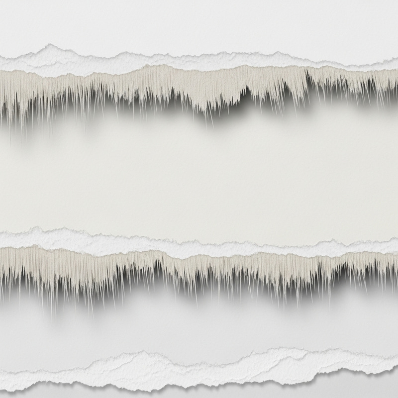 Torn Paper Edge with Frayed Strands | Textured White Background