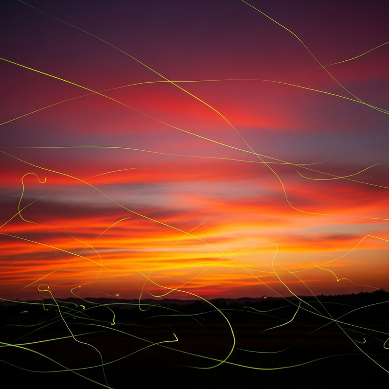 Glowing Fireflies in Slow Motion Against Sunset Backdrop
