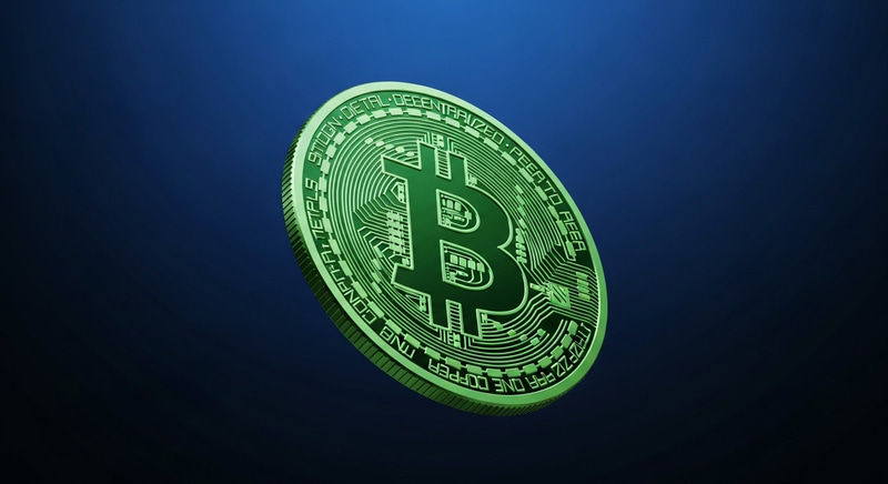 Sophisticated Green Bitcoin Coin Design - Detailed View Sophisticated Green Bitcoin Coin Design - Detailed View