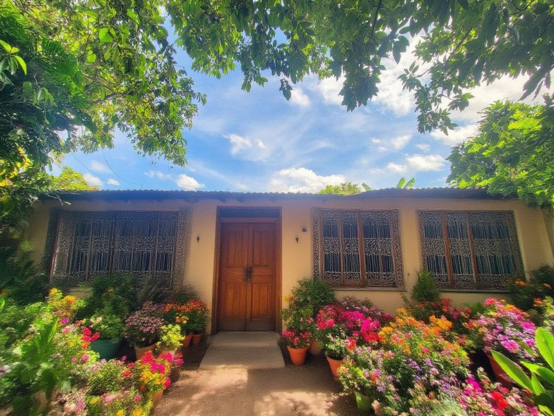 Enhance Your Facade: Windows and Doors Installation Enhance Your Facade: Windows and Doors Installation