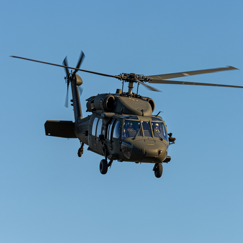 Exploring the Black Hawk: Nature's Majestic Bird Exploring the Black Hawk: Nature's Majestic Bird