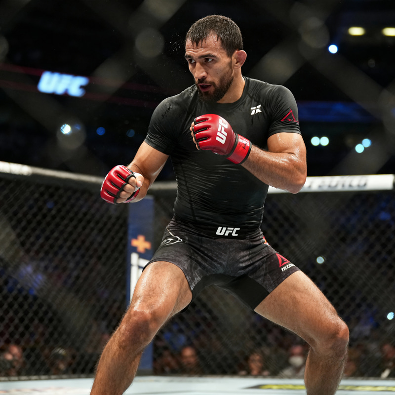 Professional UFC Fighter Photo