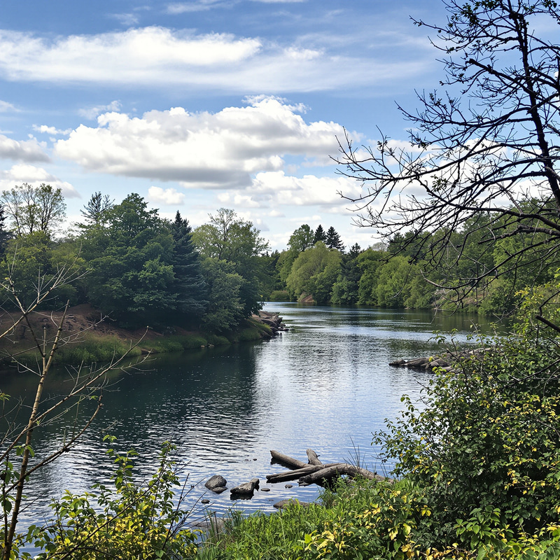 Stunning Cascade at River Pond View