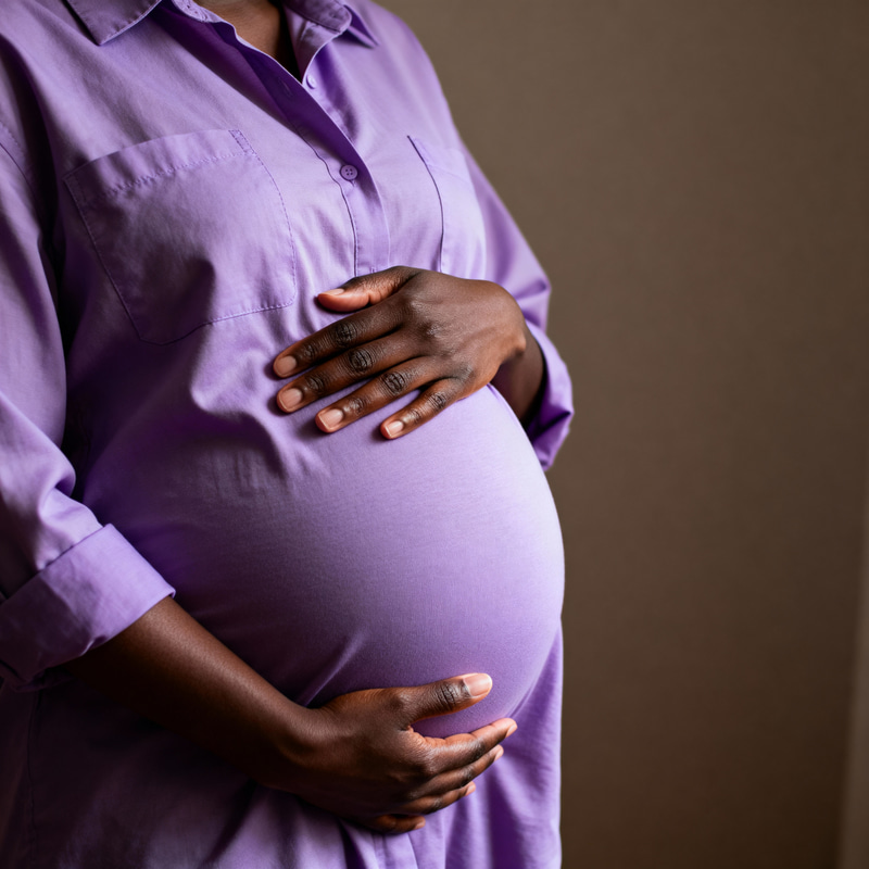 Beautiful Pregnancy Portrait of a Black Woman Beautiful Pregnancy Portrait of a Black Woman